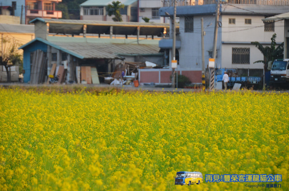 DSC_5088拷貝拷貝