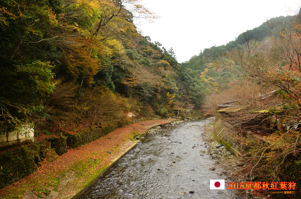 DSC_5826拷貝