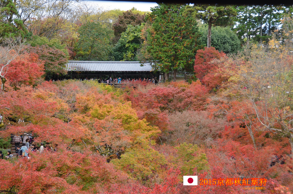 DSC_6028拷貝