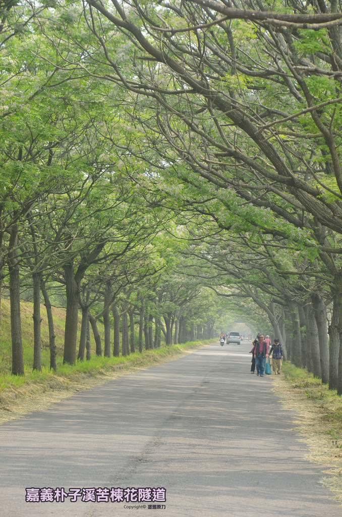 DSC_1436拷貝