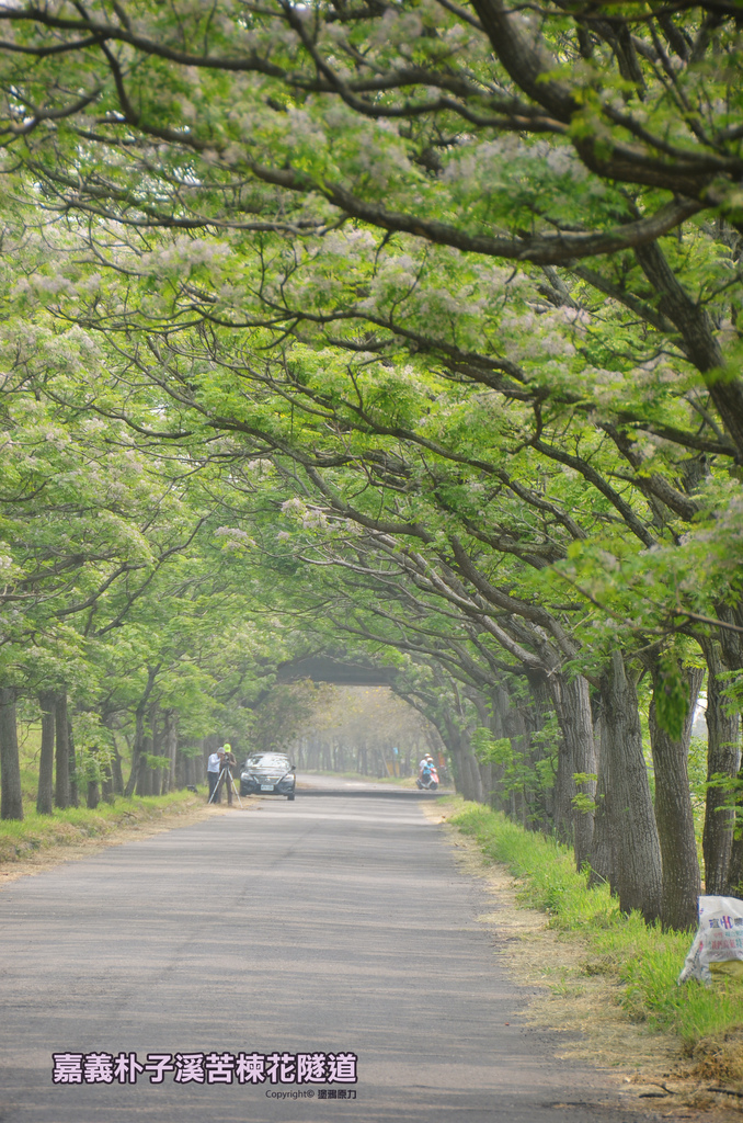 DSC_1469拷貝