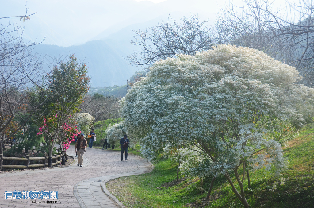 DSC_0328拷貝拷貝