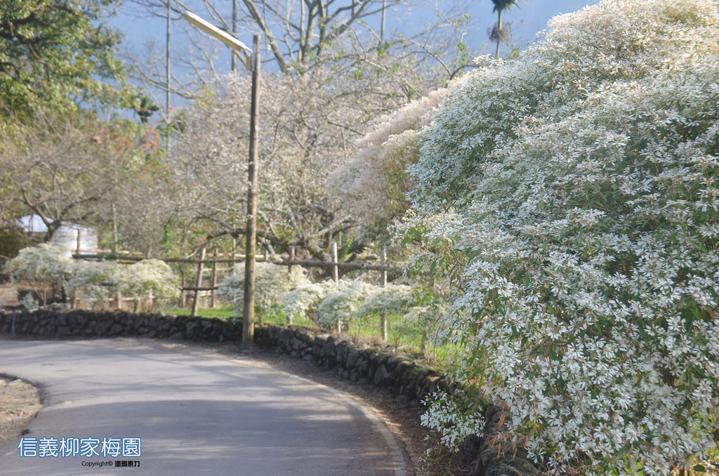 DSC_0351拷貝拷貝