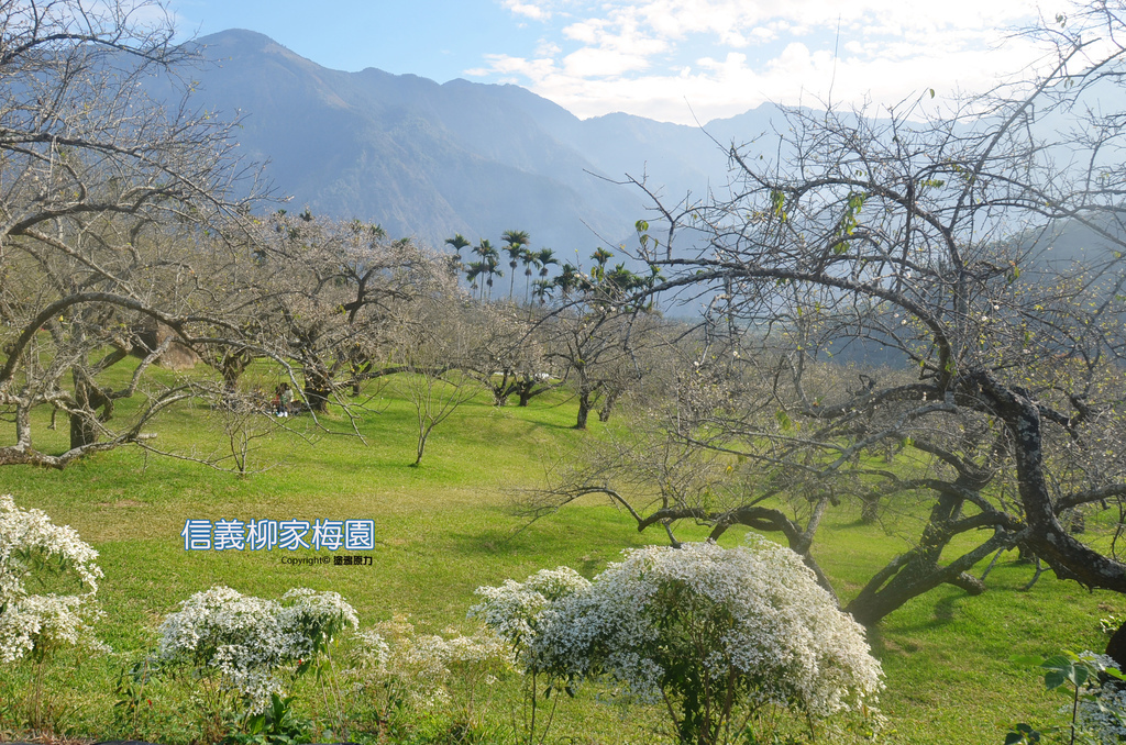 DSC_0402拷貝拷貝