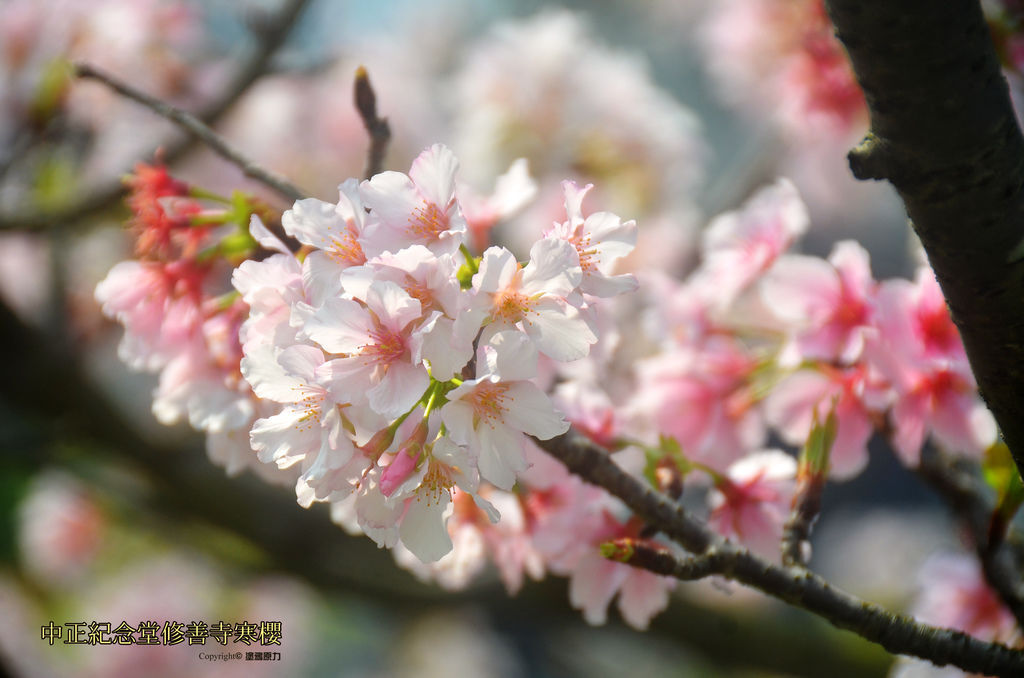 /tmp/phpATRVWd /tmp/phpATRVWd