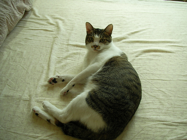SANY0294.JPG SANY0294.JPG