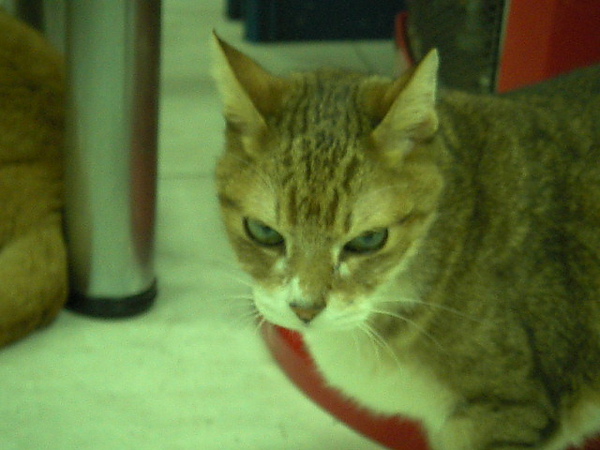 SANY0293.JPG SANY0293.JPG
