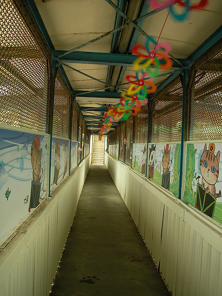 SANY0208.jpg SANY0208.jpg