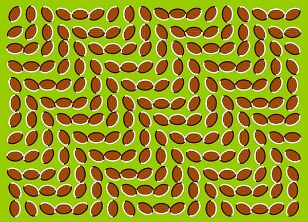 d7e10d12-d3d3-4fa7-ad1f-6e58b1779fd6.jpg d7e10d12-d3d3-4fa7-ad1f-6e58b1779fd6.jpg