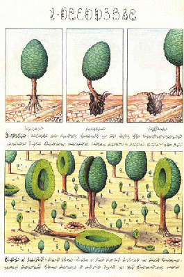 c7fa05b5.gif c7fa05b5.gif