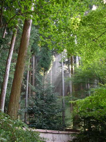 銀閣寺後山氣氛充滿禪意