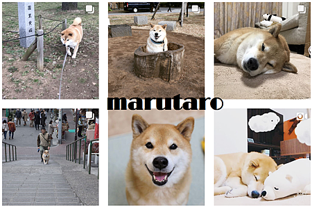 marutaro.png