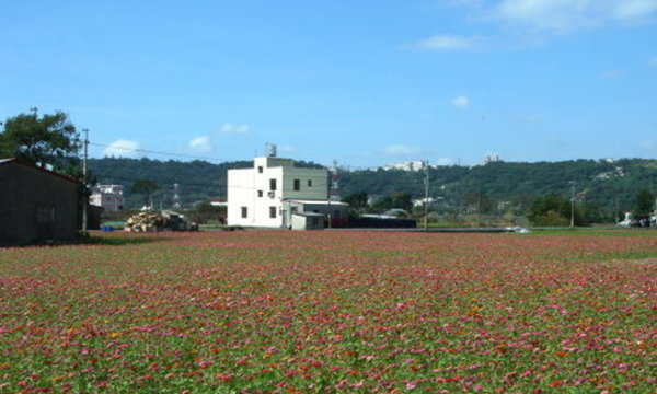 月眉花田