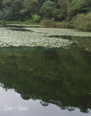 生態湖