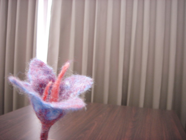 《花物》 習作：花物