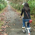  冬山河自行車道。枯葉區.