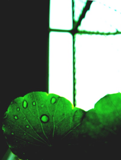 May. 6 脈絡。(窗台)