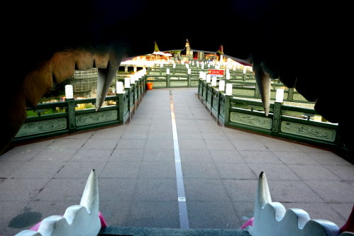 高雄。輕旅行｜蓮池潭。虎口