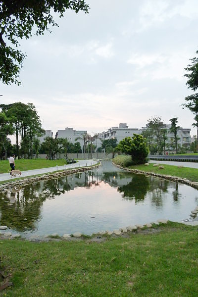 公園。塘