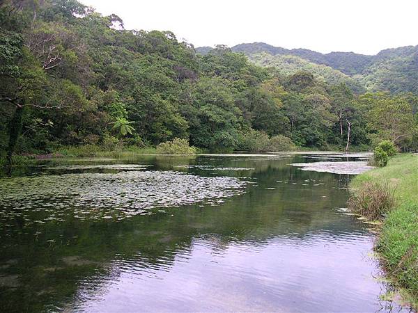 生態池