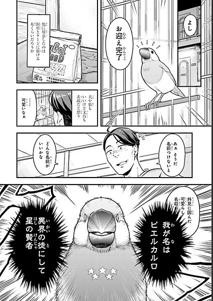 [故事筆記]佐佐木與文鳥小嗶(佐々木とピーちゃん) - 各話