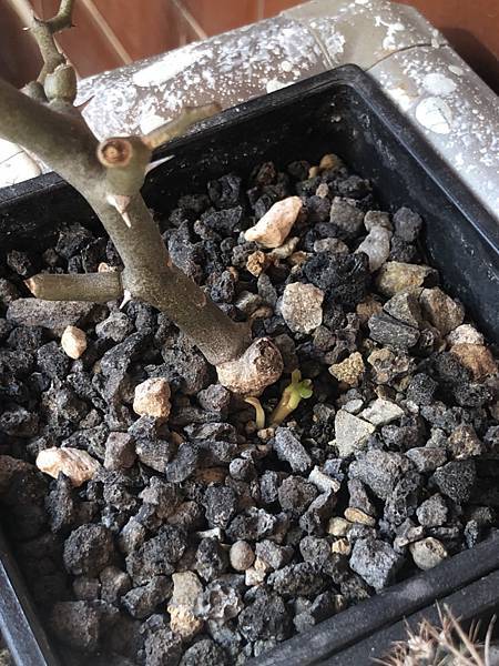 S__29024265 S__29024265