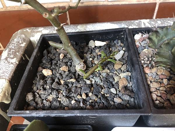 S__29024264 S__29024264