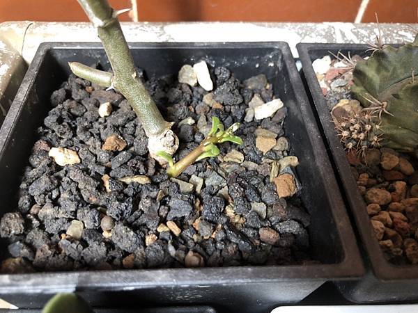 S__29024262 S__29024262