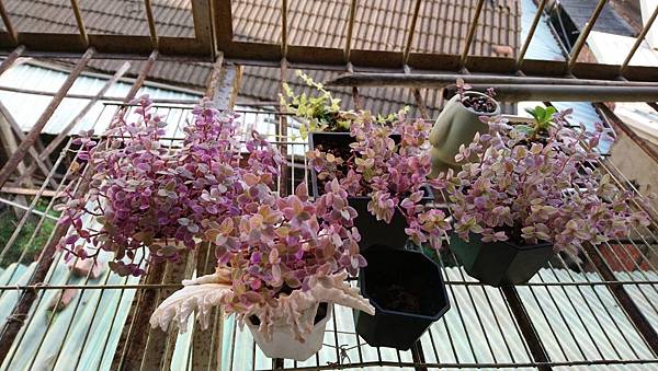 S__29286404 S__29286404