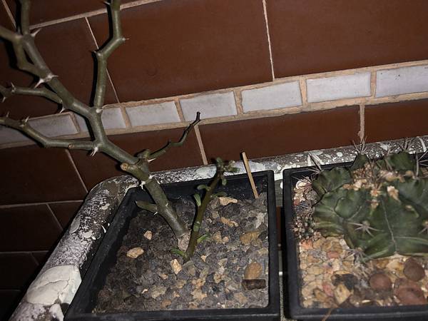 A24F520D-F360-4523-A374-C74EAE5ED915 A24F520D-F360-4523-A374-C74EAE5ED915