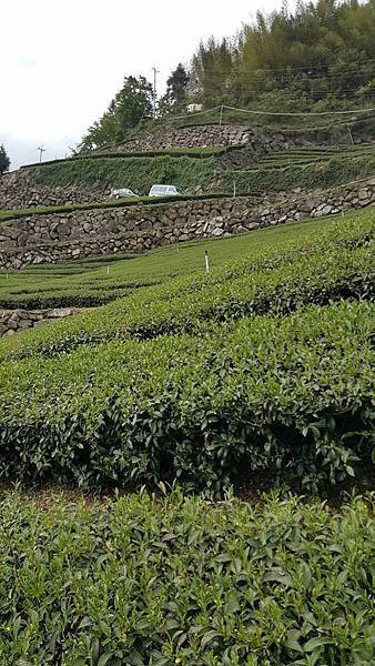 15942583_1408847369145694_1985960968_o.jpg 15942583_1408847369145694_1985960968_o.jpg