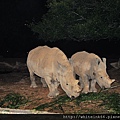 DSC_1932六福村夜間動物園.jpg