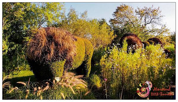 3. Montreal Botanical Garden57.jpg