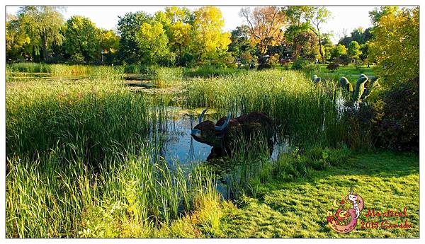 3. Montreal Botanical Garden76.jpg