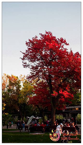 3. Montreal Botanical Garden111.jpg