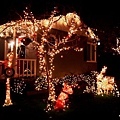 San Carlos Christmas Tree Lane-4.jpg