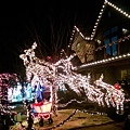 San Carlos Christmas Tree Lane-7.jpg