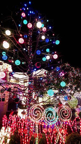 San Carlos Christmas Tree Lane-17.jpg