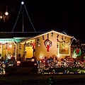 San Carlos Christmas Tree Lane-27.jpg