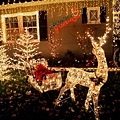 San Carlos Christmas Tree Lane-37.jpg