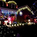 San Carlos Christmas Tree Lane-39.jpg