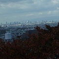 KANSAI 038-600.jpg