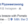 proad pomelo 柚香 9.png