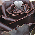 【Mancera】Roses & Chocolate (曼斯拉 巧克力玫瑰) 5.png