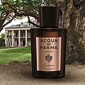 【Acqua di Parma】Quercia (帕爾瑪之水 橡木)5.jpg