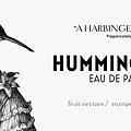 【Zoologist】Hummingbird (動物學家：蜂鳥)2.jpg