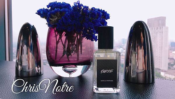 【LUSH】Furze (英式情懷金雀花)1.jpg 【LUSH】Furze (英式情懷金雀花)1.jpg
