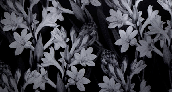 【Jo Malone】Tuberose Angelica Rich Extract (晚香玉與白芷精醇版)3.png