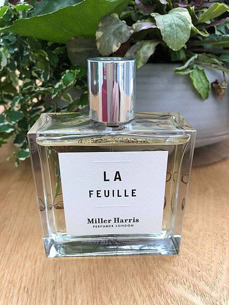 【Miller Harris】La Feuille (常春藤)8.jpg