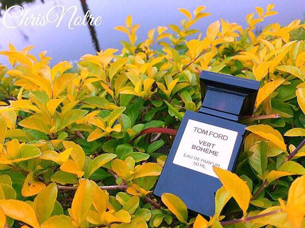 【Tom Ford】Vert Boheme (雨後叢林)1.jpg 【Tom Ford】Vert Boheme (雨後叢林)1.jpg